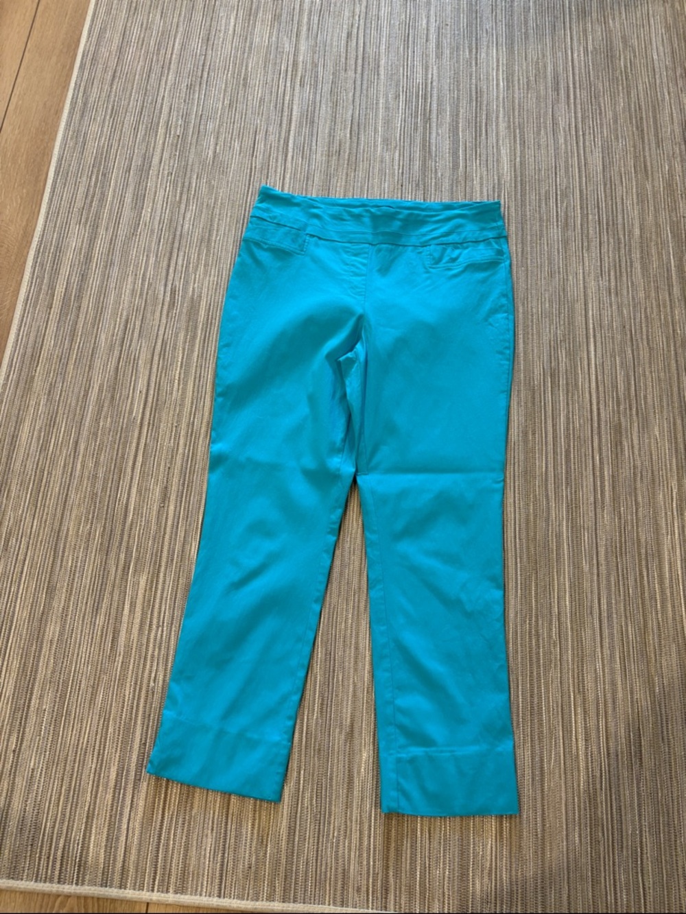 Bright Teal Straight-Leg Pants women’s size 10